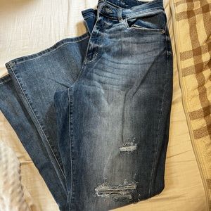 Plus Size Judy Blue Flare Jeans